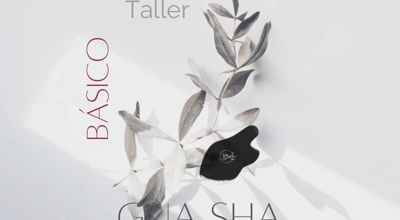 Taller-Basico-Guasha-Obsidiana.jpg